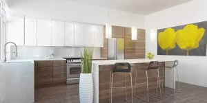 22466dr-Rendering-Kitchen-01_1475091909_1479220145
